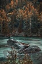 山西炸金花微信-山西炸金花微信，连接乡土与时代的桥梁